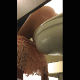 A voyeur cameraman records 5 different woman using a public restroom toilet in an adjoining stall. All the girls appear to be pissing. Audio and video is clearer than in previous movie, number 9820. Vertical format video. About 5 minutes.